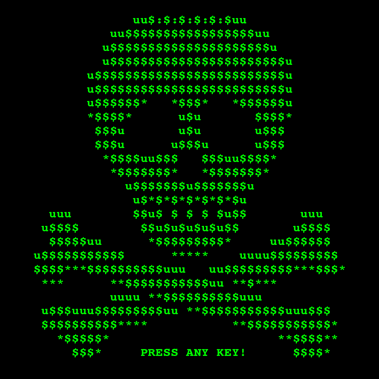 Cyber Insurance